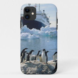 Funda Para iPhone 11 Un grupo de pingüinos que se colocan en una playa