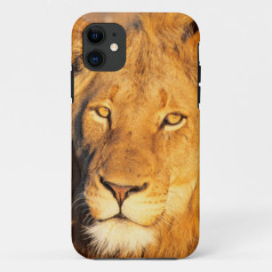 Funda Para iPhone 11 Un león de melena roja mirando a la cámara.