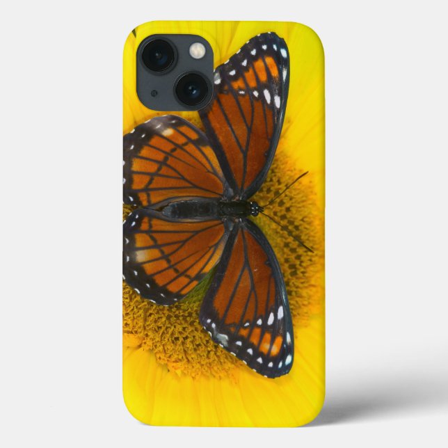Funda De Case-Mate Para iPhone Un Limenitis Archippus de la mariposa el | del (Reverso)