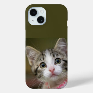 Funda Para iPhone 15 Un lindo gatito con ojos verdes