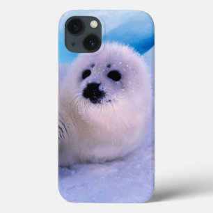Funda Para iPhone 13 Un pequeño arpa cubierto de copos de nieve