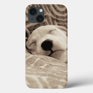Funda Para iPhone 13 Un perro cansado
