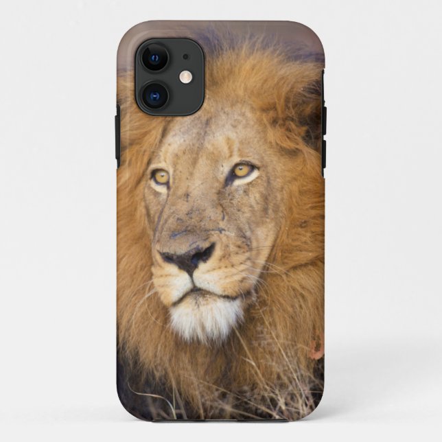 Funda De Case-Mate Para iPhone Un retrato de un León mirando a la distancia (Reverso)