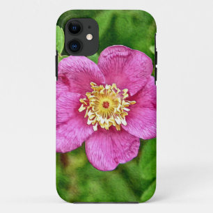 title_seo2 Un Rosa salvaje