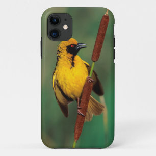 Funda Para iPhone 11 Un tejedor aldeano llamando mientras está posado e