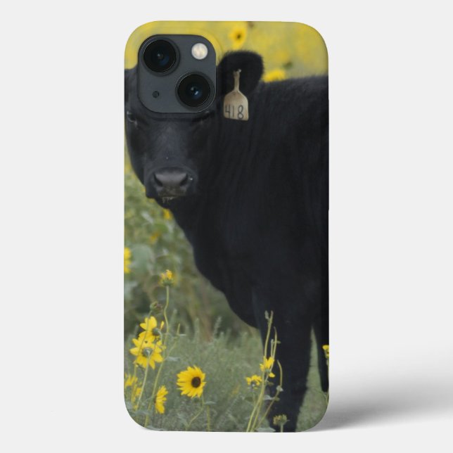 Funda De Case-Mate Para iPhone Un ternero entre los girasoles de Nebraska (Reverso)