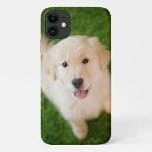 Funda Para iPhone 11 Una cachorro dorada en el césped