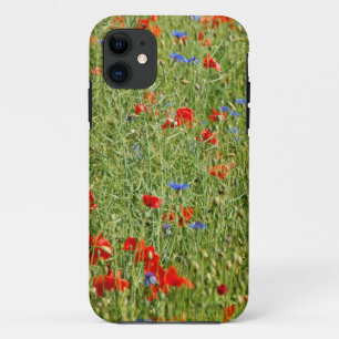 title_seo2 Una cama en el campo de maíz…