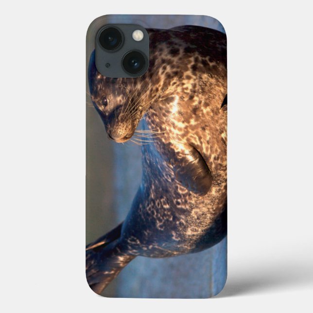 Funda De Case-Mate Para iPhone Una cría de foca levantando la cola (Reverso)