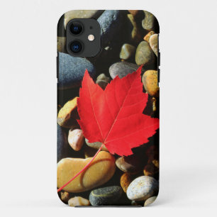 Funda Para iPhone 11 Una hoja de arce sobre un fondo de roca