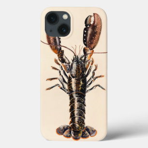 Funda Para iPhone 13 Una langosta de Solva
