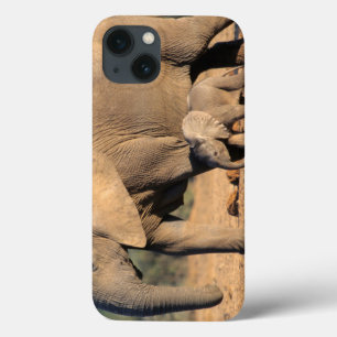 Funda Para iPhone 13 Una madre y un becerro del elefante africano en el
