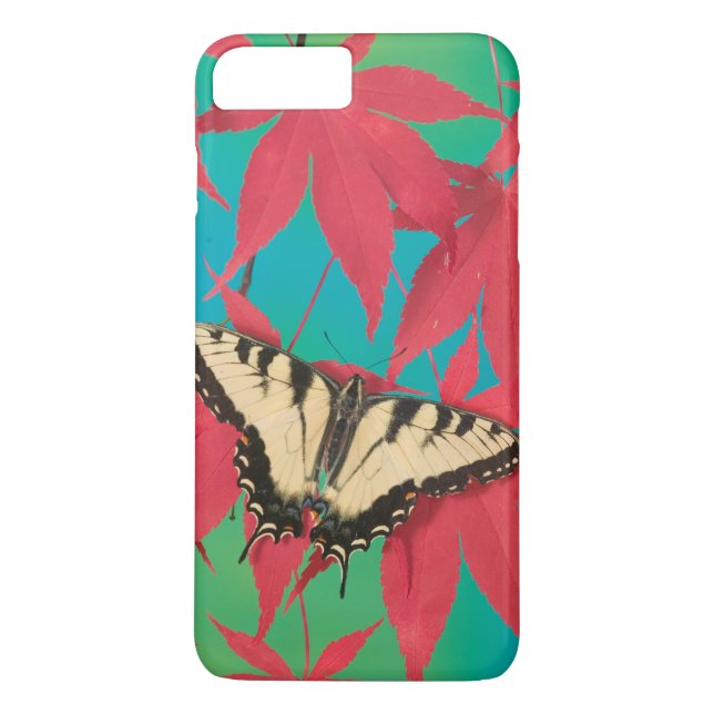 Funda De Case-Mate Para iPhone Una mariposa canadiense de cola de golondrina tigr (Reverso)