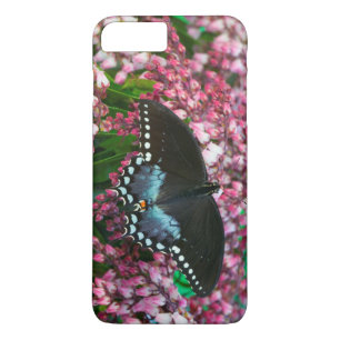 Funda Para iPhone 8 Plus/7 Plus Una Mariposa de Azufre   En La Familia Phoebis