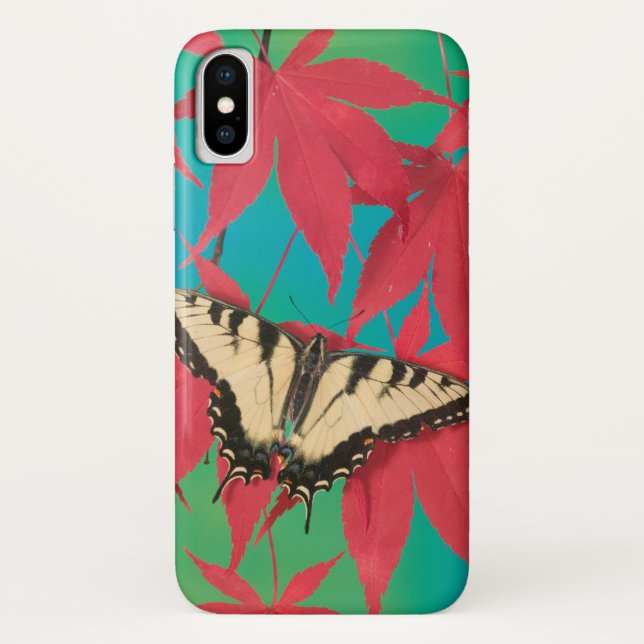 Funda De Case-Mate Para iPhone Una mariposa de cola cruda de tigre canadiense (Reverso)