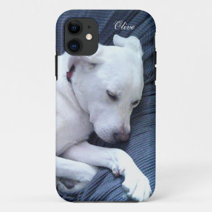 Funda Para iPhone 11 Una pequeña foto de un dulce blanco labrador de le