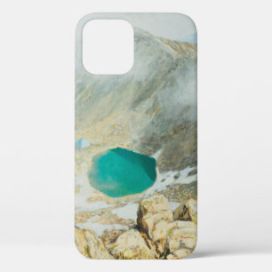 Funda Para iPhone 12 Una pintura al óleo sobre lienzo del pico más al