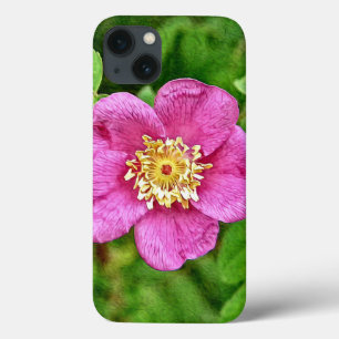 title_seo2 Una rosa silvestre