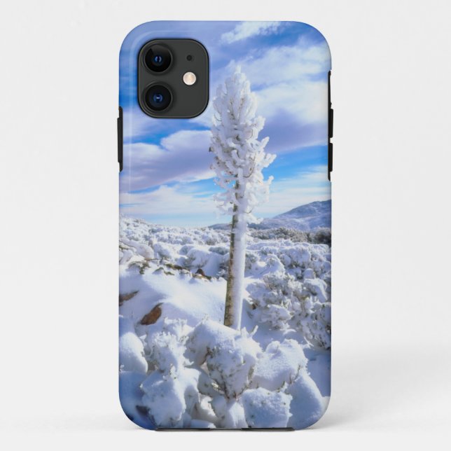 Funda De Case-Mate Para iPhone Una yucca cubierta de nieve (Reverso)