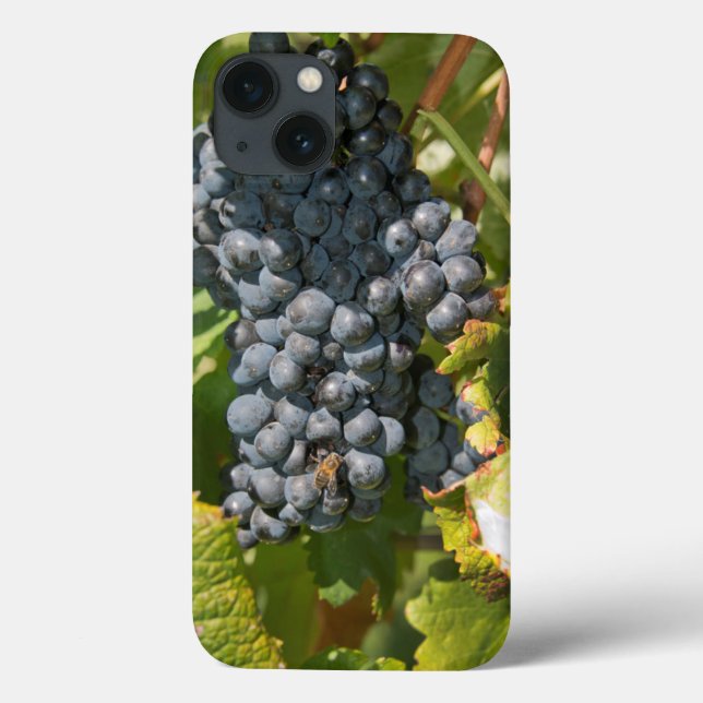 Funda De Case-Mate Para iPhone Uruguay, Montevideo, Zona de Colón. Bodegas (Reverso)