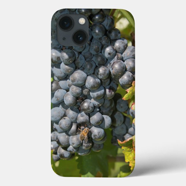 Funda De Case-Mate Para iPhone Uruguay, Montevideo, Zona de Colón. Bodegas (Reverso)