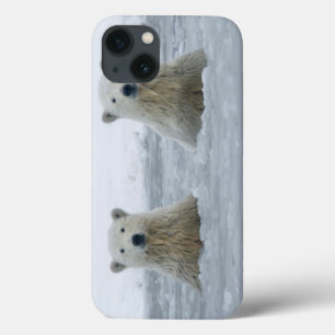 Funda Para iPhone 13 USA, Alaska, North Slope, Polar Bears