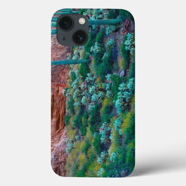 Funda De Case-Mate Para iPhone USA, Arizona. Desert Flora (Reverso)