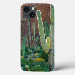 Funda Para iPhone 13 USA, Arizona. Saguaro Cactus Field By A Cliff
