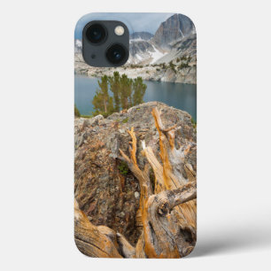 title_seo2 USA, California, Inyo National Forest.