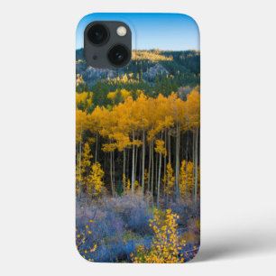 Funda Para iPhone 13 USA, Colorado. Bright Yellow Aspens in Rockies