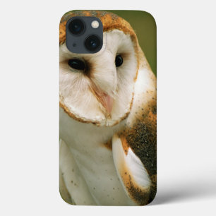 Funda Para iPhone 13 USA, Colorado, Broomfield. Barn owl