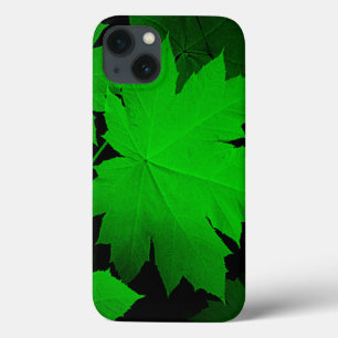 title_seo2 USA, Kansas, Oak Leaves In The Light