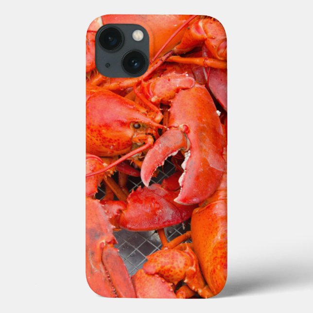 Funda De Case-Mate Para iPhone USA, Massachusetts, Martha's Vineyard (Reverso)