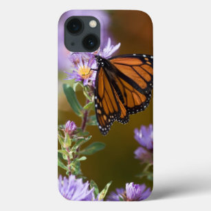 Funda Para iPhone 13 USA, New Hampshire. Monarch butterfly on aster