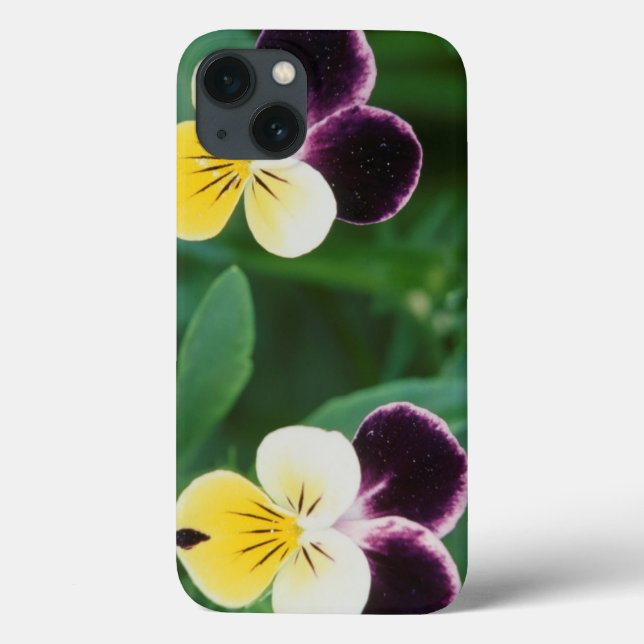 Funda De Case-Mate Para iPhone USA, Utah, Cache Valley, Johnny Jump Up (Reverso)