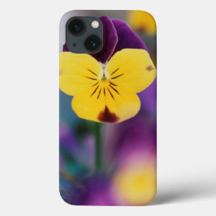 Funda Para iPhone 13 USA, Utah, Close-Up of Viola tricolor in garden