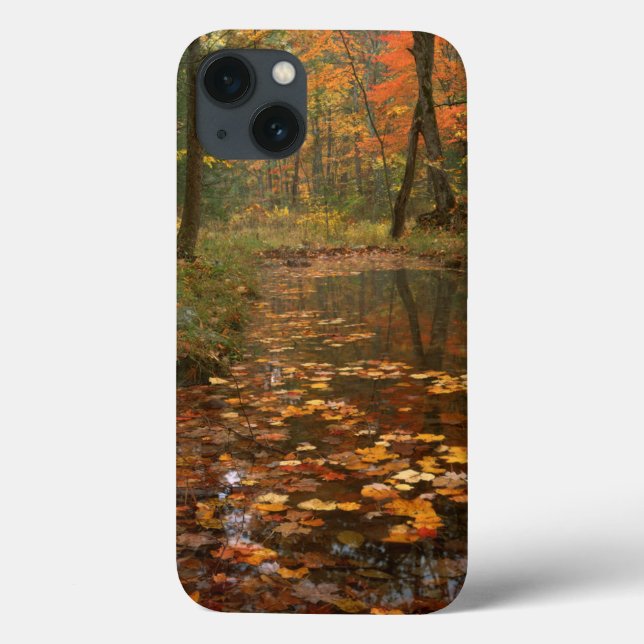 Funda De Case-Mate Para iPhone USA, Virginia, Autumn In Douthat State Park (Reverso)