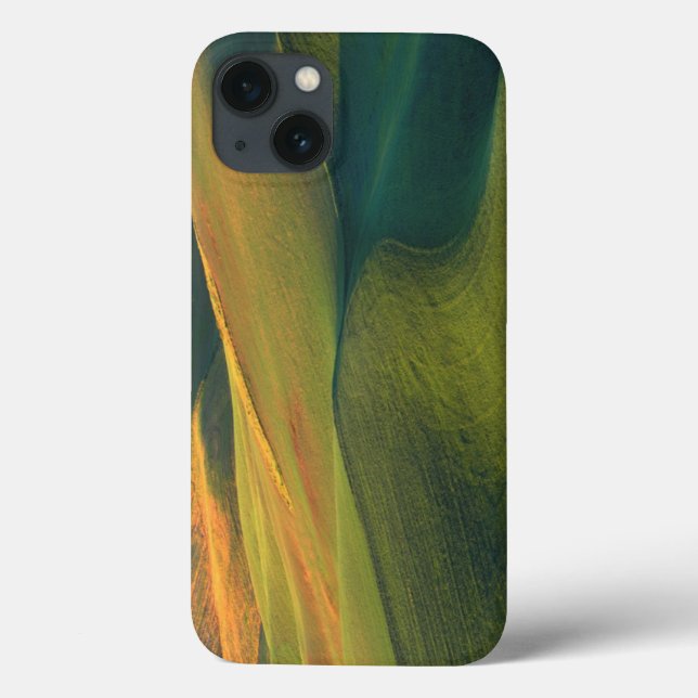 Funda De Case-Mate Para iPhone USA, Washington, Palouse, Whitman County (Reverso)