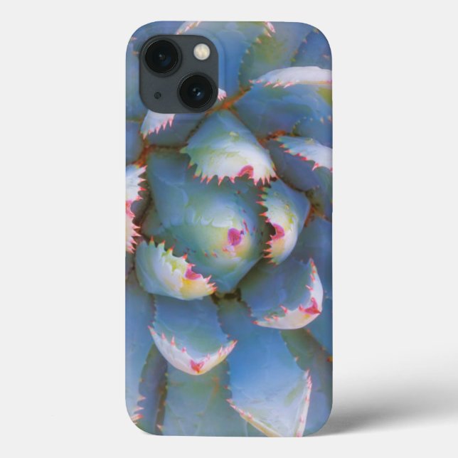 Funda De Case-Mate Para iPhone Utah, Bosque Nacional Dixie. Cierre de yuca (Reverso)