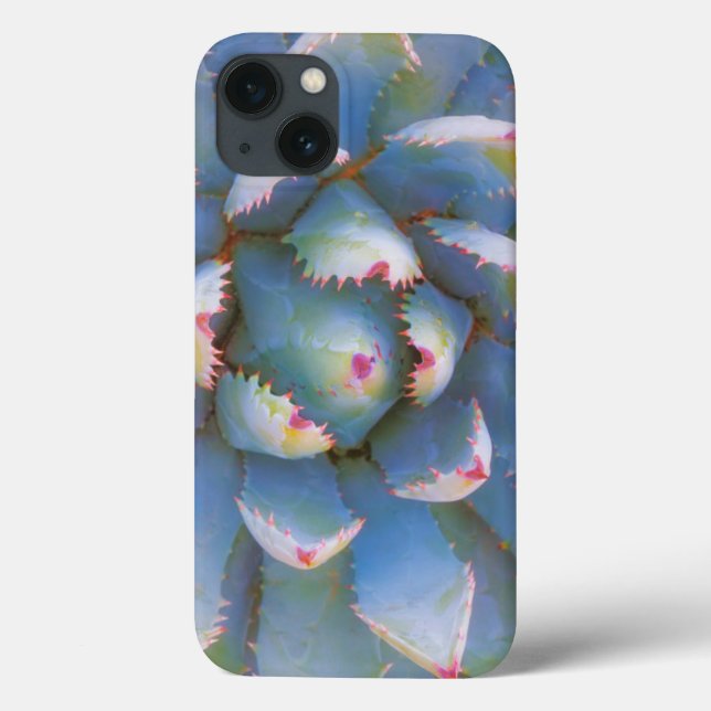 Funda De Case-Mate Para iPhone Utah, Bosque Nacional Dixie. Cierre de yuca (Reverso)