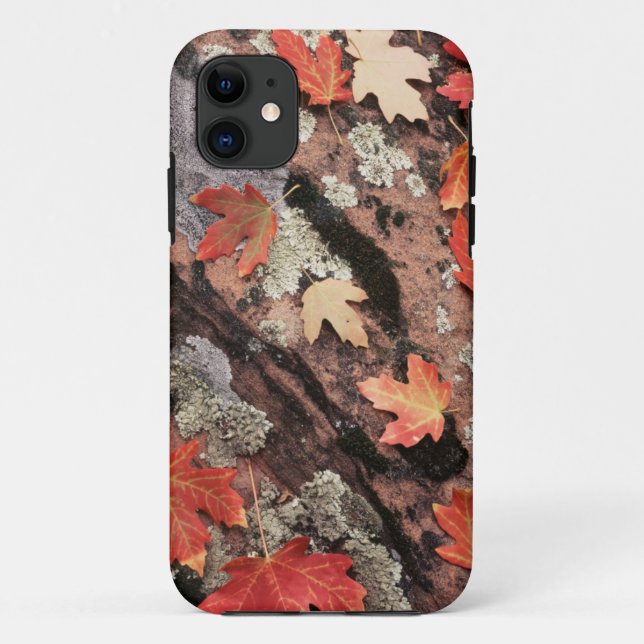Funda De Case-Mate Para iPhone Utah, Parque Nacional de Zion, Patrones del otoño (Reverso)