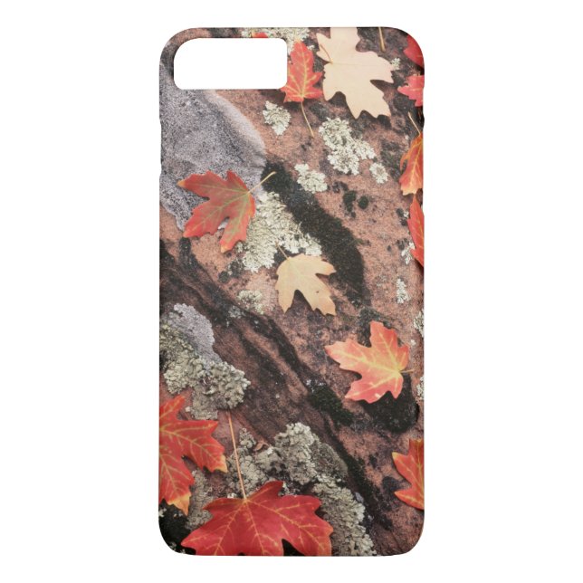 Funda De Case-Mate Para iPhone Utah, Parque Nacional Zion, Patrones de otoño (Reverso)