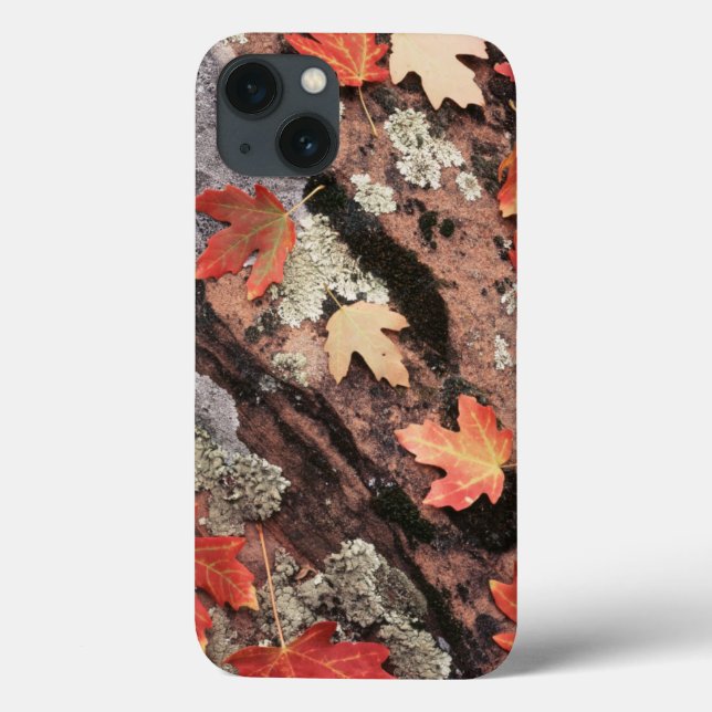 Funda De Case-Mate Para iPhone Utah, Parque Nacional Zion, Patrones del otoño (Reverso)