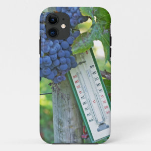 Funda Para iPhone 11 Uvas Merlot en Chateau la Grave Figeac, una