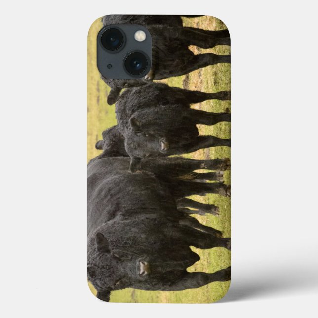 Funda De Case-Mate Para iPhone Vacas en la lluvia (Reverso)