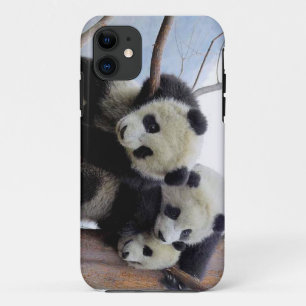 title_seo2 Vaina de la panda