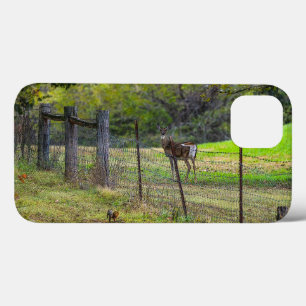 Funda Para iPhone 13 Venado Y Un Paintero De Ardilla