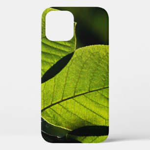 Funda Para iPhone 12 Venas foliáceas de hojas de hocico