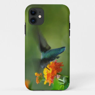 Funda Para iPhone 11 ¡Verano Hummer!