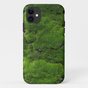 Funda Para iPhone 11 Verde de musgo